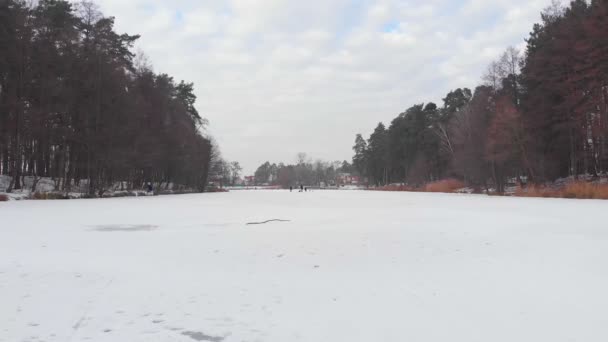 Mensen op Frozen Lake — Stockvideo