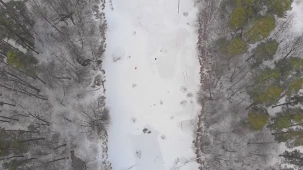 Bosque del río congelado — Vídeo de stock