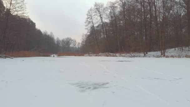 Foresta inverno congelato lago — Video Stock