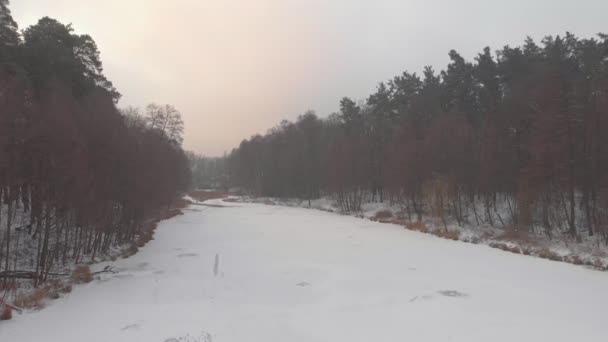 Fryst sjö och vinter skog — Stockvideo