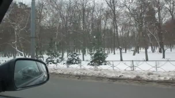 Parco invernale dalla finestra dell'auto — Video Stock