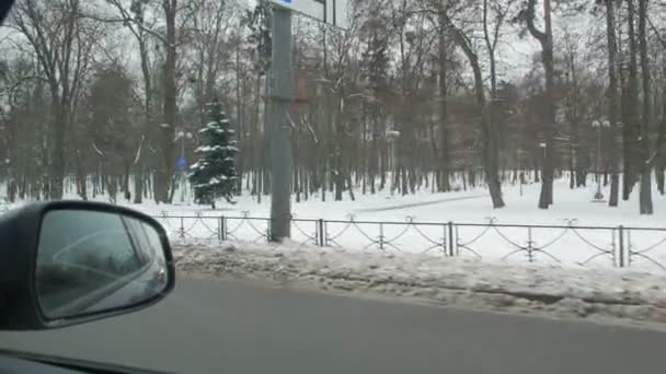 Winter Park vanuit de auto — Stockvideo