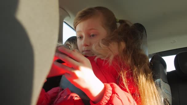 Enfant fille avec téléphone dans la voiture — Video