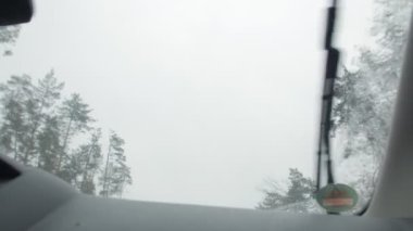 Arabadan Çam Ağacı Görünümü