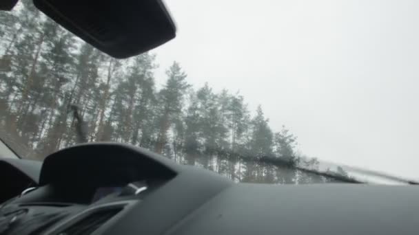 Dennenbos uitzicht vanuit de auto — Stockvideo
