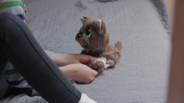 Criança bandagens brinquedo do cão — Vídeo de Stock