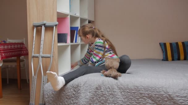 Girl Caring For A Toy Dog — Stock Video