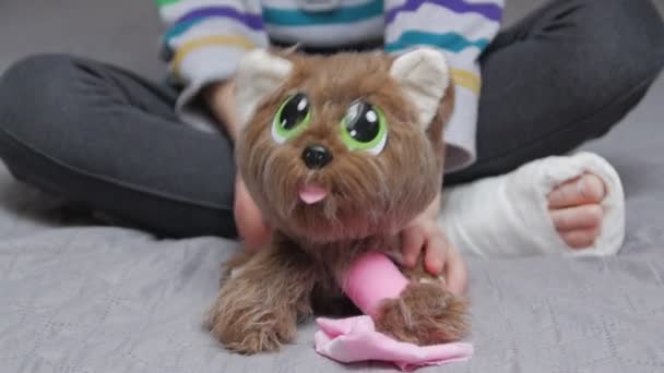 Child Caring For A Toy Dog — Stock Video