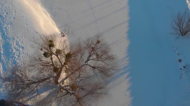 Снігові зимові мости — стокове відео