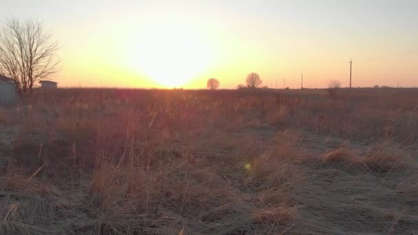 夕阳西下的蜘蛛网 — 图库视频影像