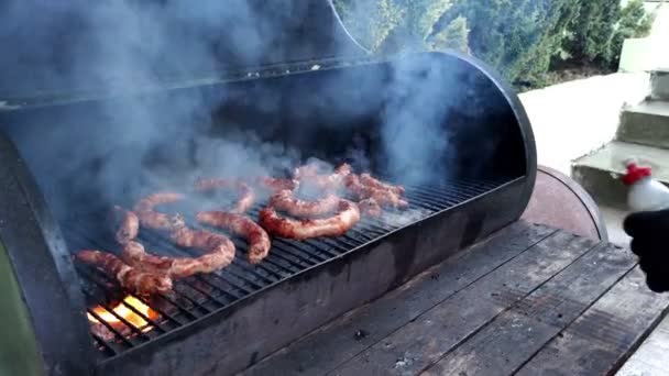 Barbecue worstjes op de barbecue — Stockvideo