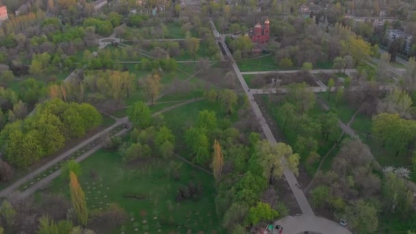 Émissions d'oiseaux et d'air dans les arbres — Video