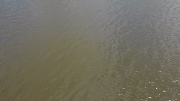 Будинки біля води — стокове відео