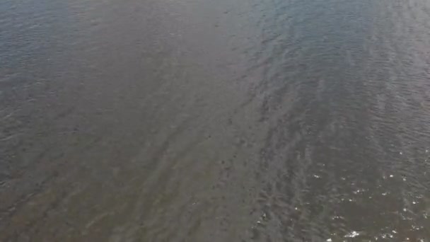 Fliegen über den See — Stockvideo