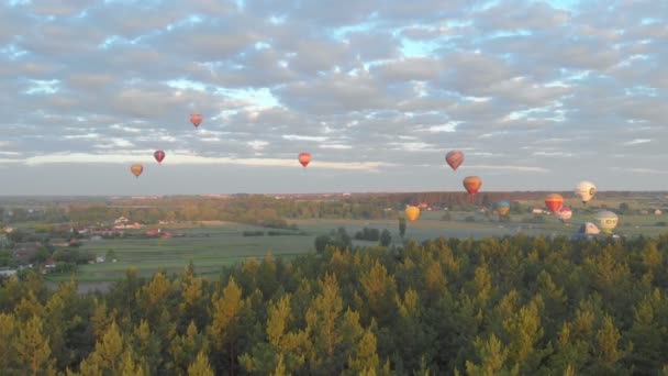 Létající balónky les — Stock video