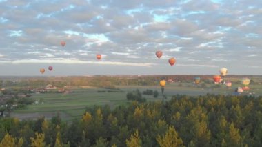 Orman Uçan Balonlar