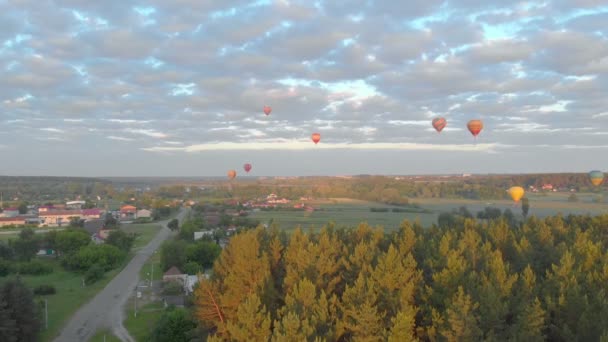 Μπαλόνια που πετούν στη φύση — Αρχείο Βίντεο