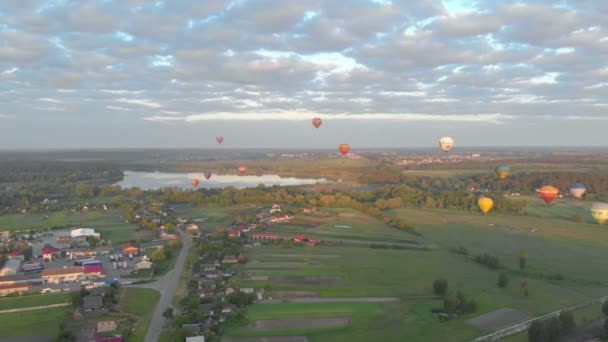 Repülő tavi ballonok — Stock videók