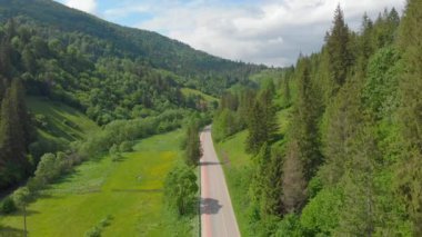 Orman Yolu Bisiklet Yolu