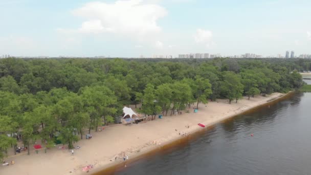 Spiaggia di sabbia e foresta — Video Stock