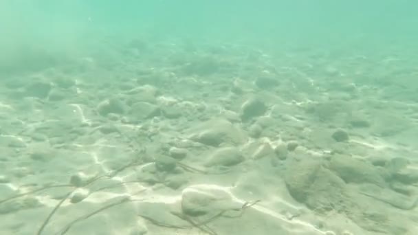 Sea Bottom Underwater — Stockvideo