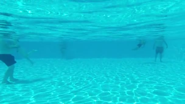 Crowd In The Pool — Vídeos de Stock