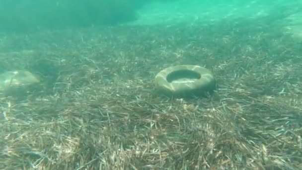 Tires In The Sea — Stockvideo