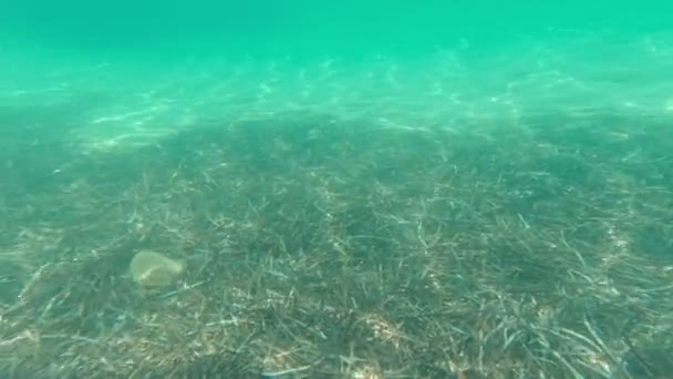 The Seabed Pollution — ストック動画