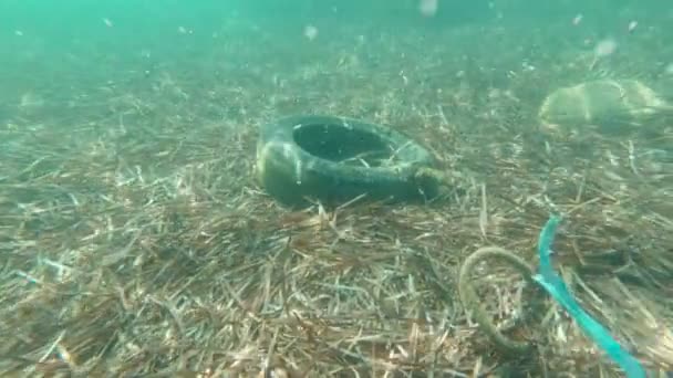 Buceo bajo el agua — Vídeos de Stock