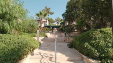 Palm Trees Tatil Köyü