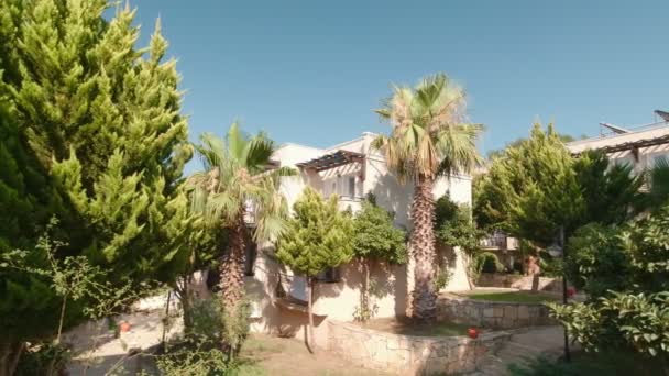 Doğal Palmiye Ağaçları Tatil Köyü — Stok video