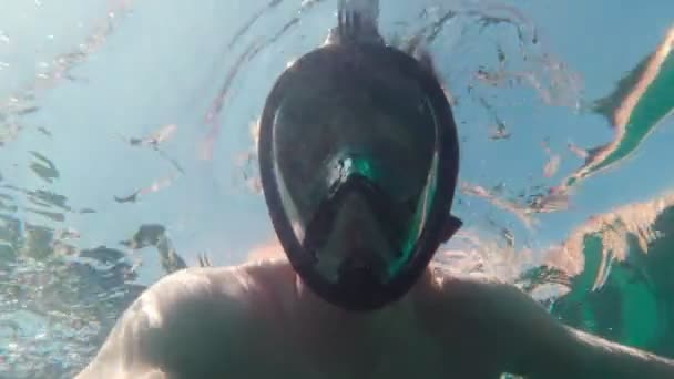 Diver On Surface Of Water — Stockvideo