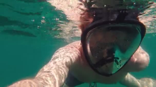 Diver บนพื้นผิวน้ํา — วีดีโอสต็อก