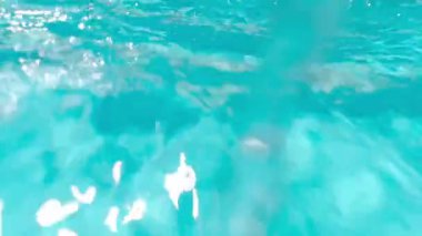 Havuz kabuğundan çıkıyor.