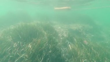 Deniz tabanının Keşfi