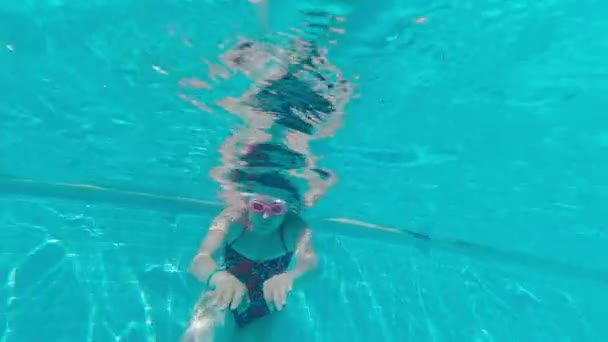 Mulher subaquática nada na piscina — Vídeo de Stock