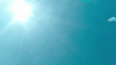 Dalgıç Su Altında Bulundu