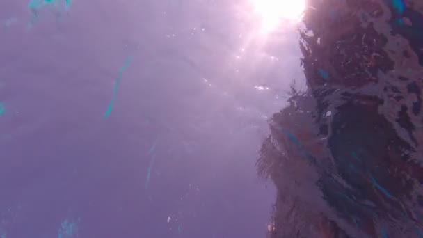 Güneş ışığı Su altı Görünümü — Stok video