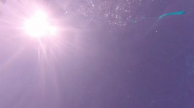 Denizin Altında Bulmak