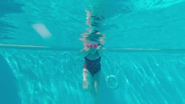 Weibchen schwimmt unter Wasser — Stockvideo