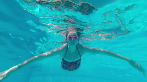 Weibliche Tauchgänge unter Wasser — Stockvideo