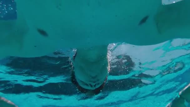 男子水下身体安装 — 图库视频影像