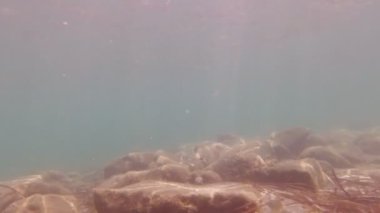 Su altında Balık Taşları Okulu