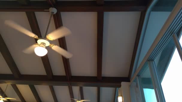 Ventilatore lampadario a soffitto — Video Stock