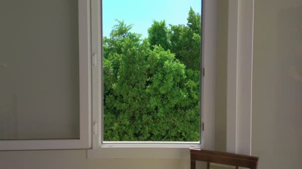 Groene Boom Uitzicht vanuit het venster — Stockvideo