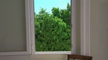 Arkaplanda Pencere Ağacı Aç