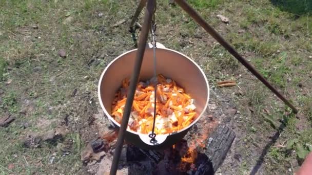 Maceta con carne en el fuego — Vídeos de Stock