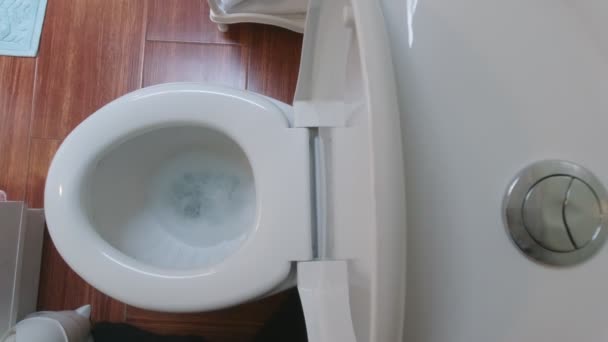 Druk op het toilet door te spoelen — Stockvideo