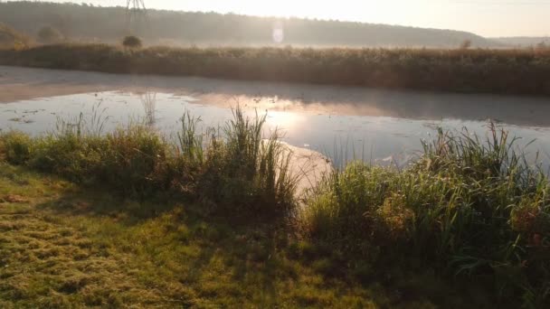 Туман над річкою — стокове відео