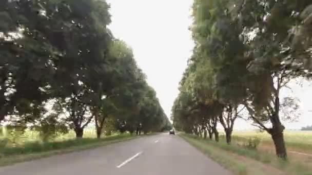 고속 도로에 있는 검은 자동차 — 비디오